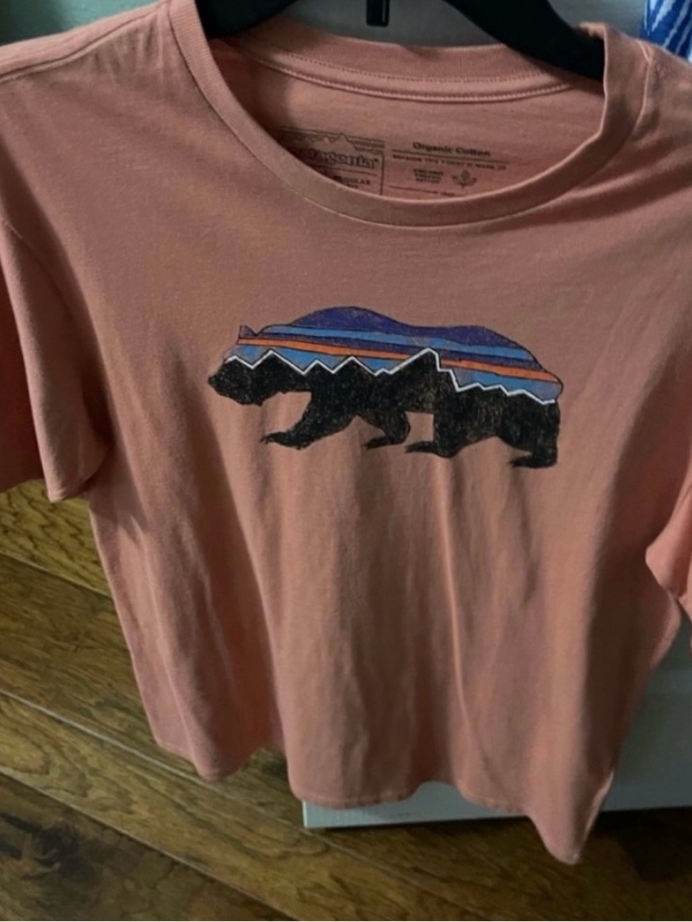 Patagonia Dusty Pink Bear Graphic Short Sleeve Tee